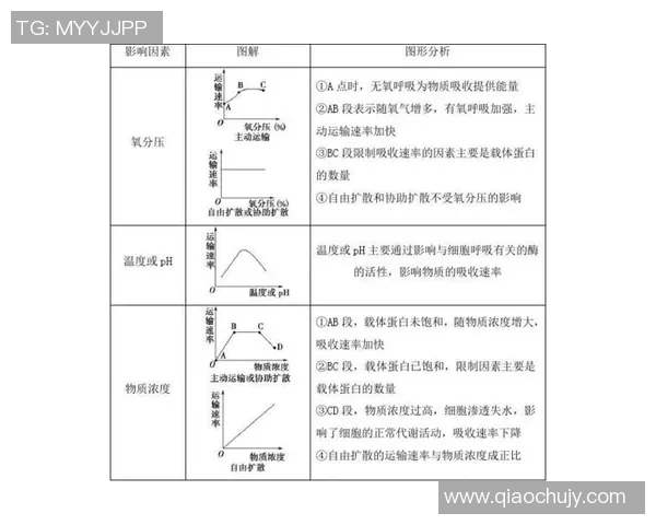 上海网球队速度表现分析及其对比赛胜负的影响研究